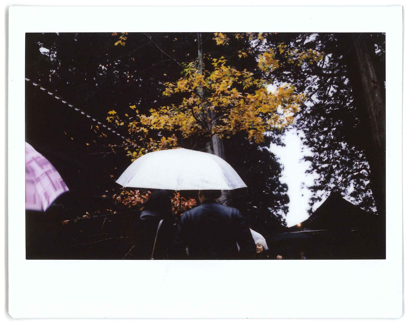 Instant photo for Day 56 of “A Year in an Instant” by Nuno Coelho Santos