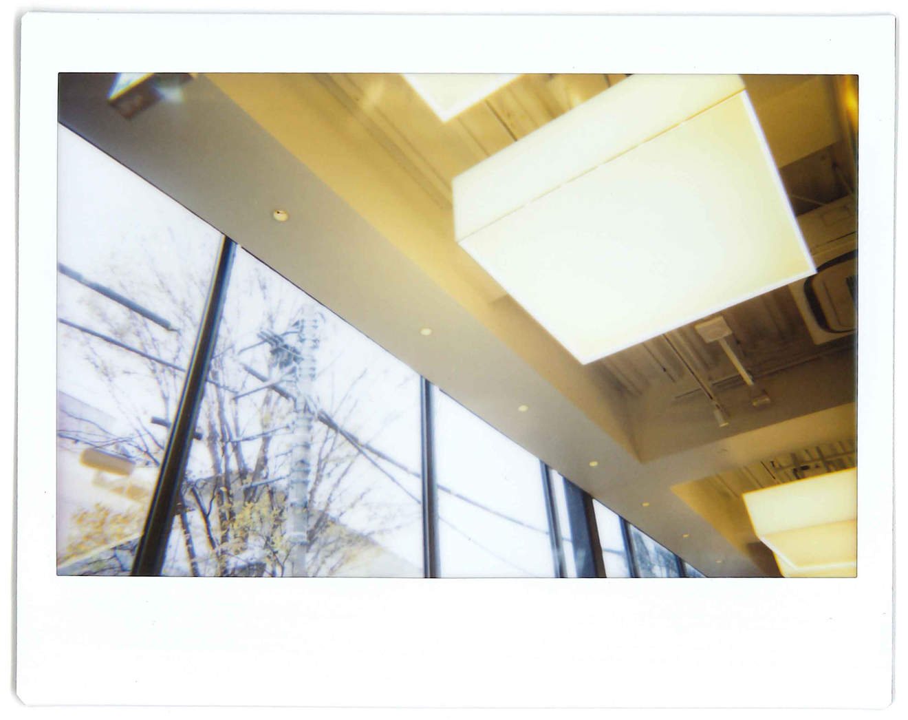 Instant photo for Day 77 of “A Year in an Instant” by Nuno Coelho Santos